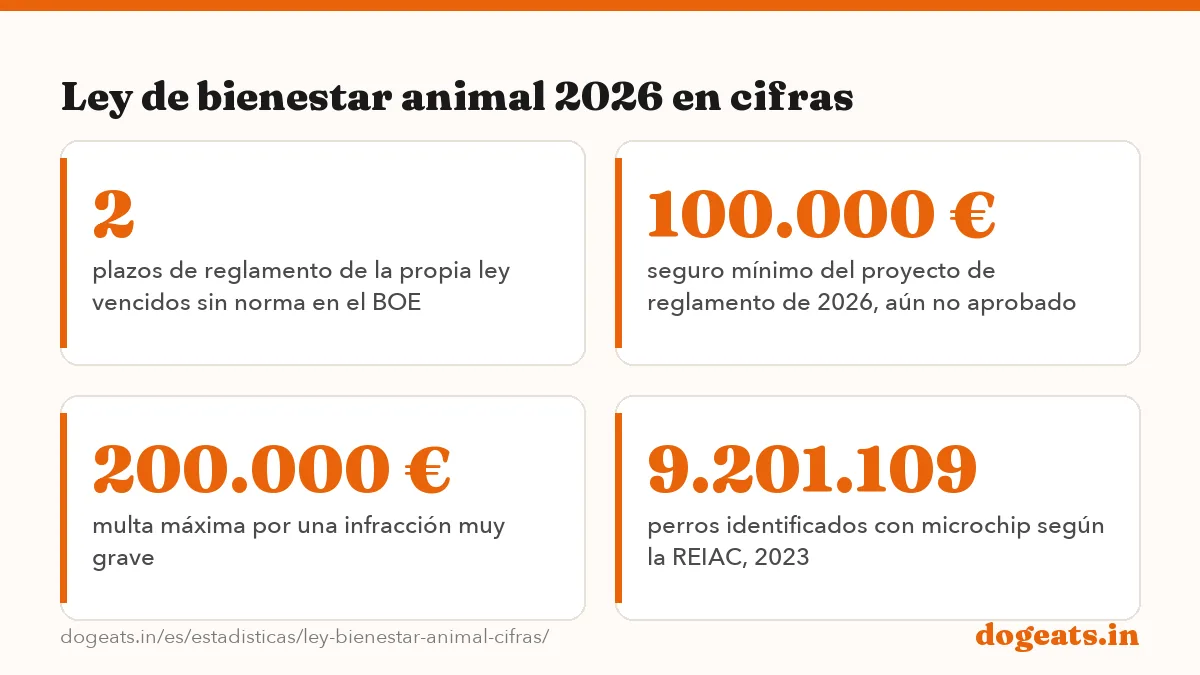 Ley de bienestar animal 2026 en cifras: las cifras