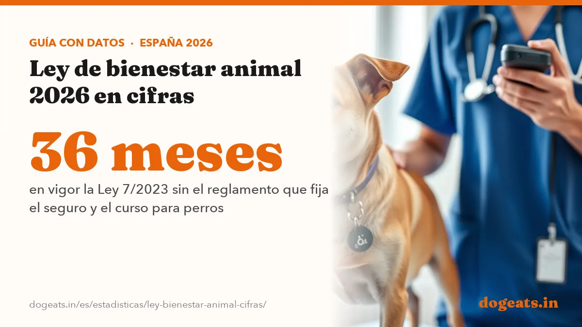 36 meses en vigor la Ley 7/2023 sin el reglamento que fija el seguro y el curso para perros