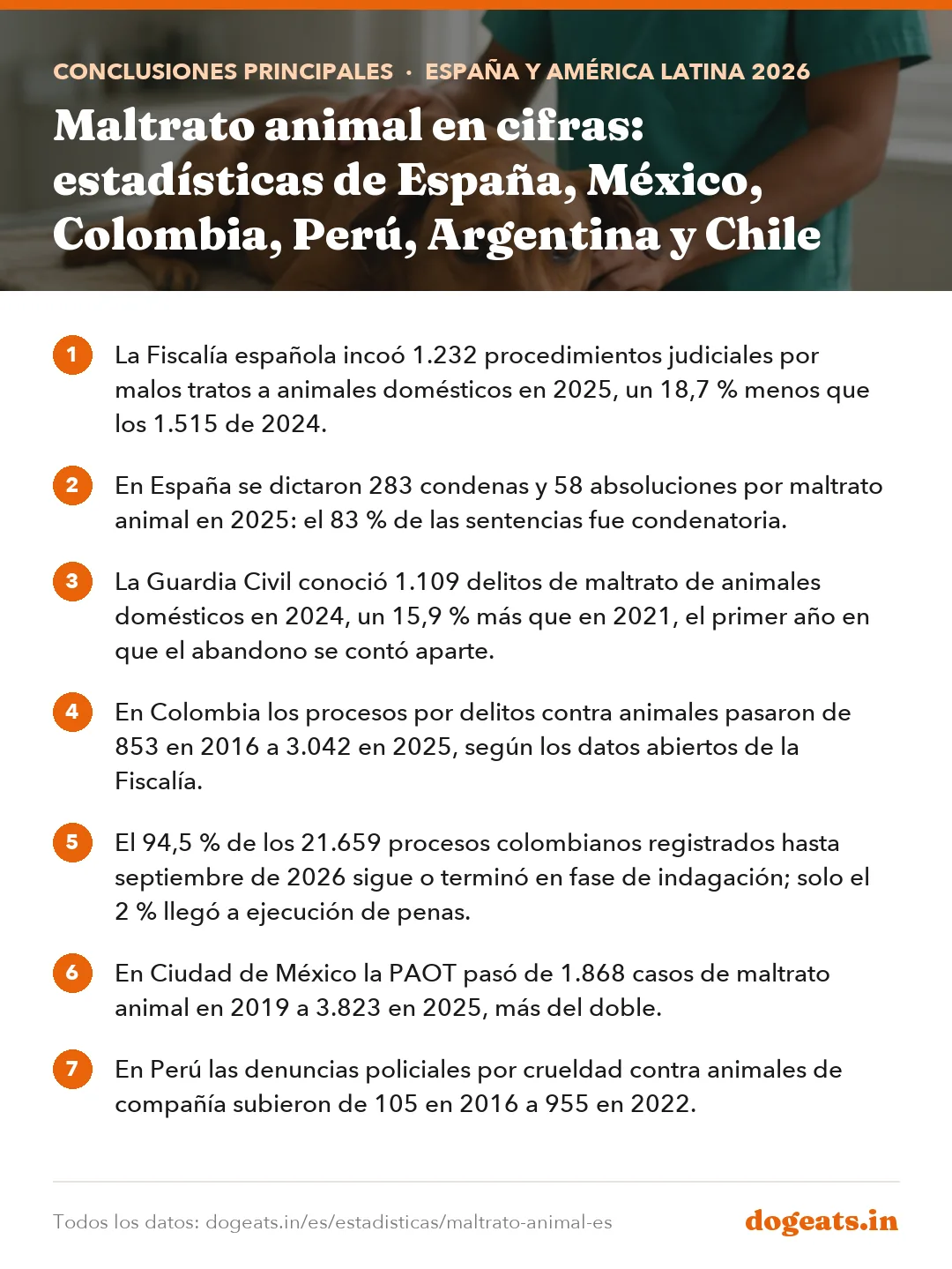 Conclusiones principales: Maltrato animal en cifras: estadísticas de España, México, Colombia, Perú, Argentina y Chile