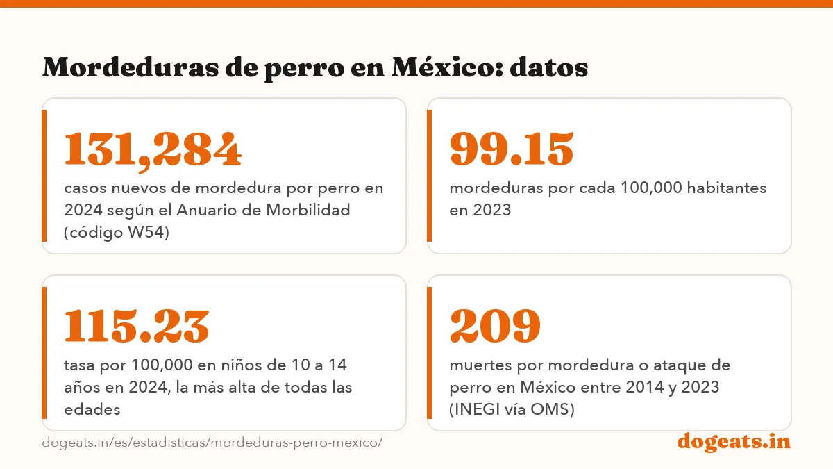 Mordeduras de perro en México: datos: las cifras