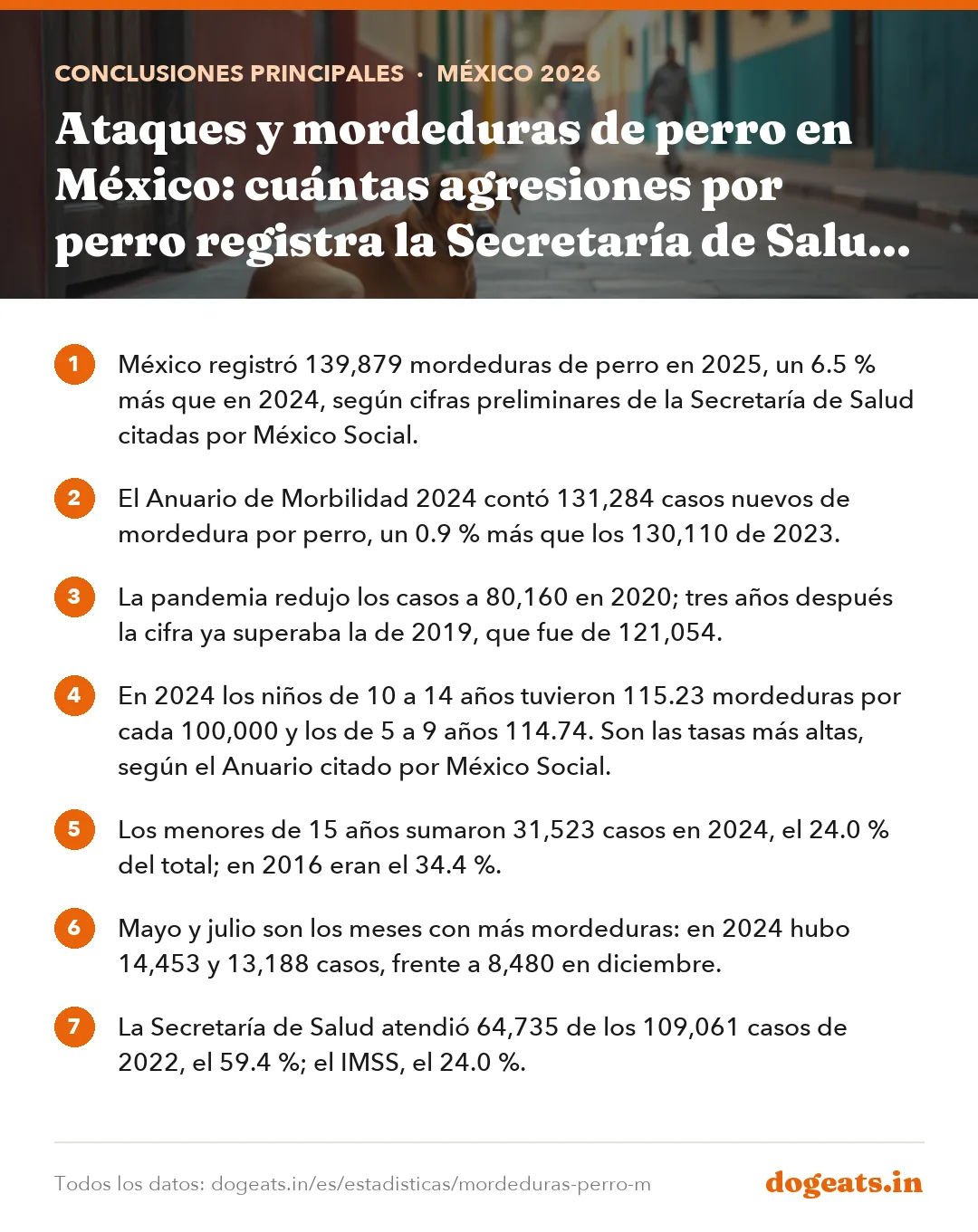 Conclusiones principales: Ataques y mordeduras de perro en México: cuántas agresiones por perro registra la Secretaría de Salud y a quién afectan