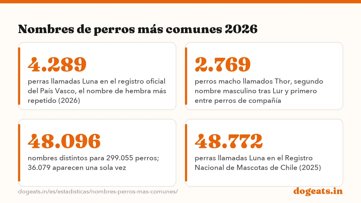 Nombres de perros más comunes 2026: las cifras