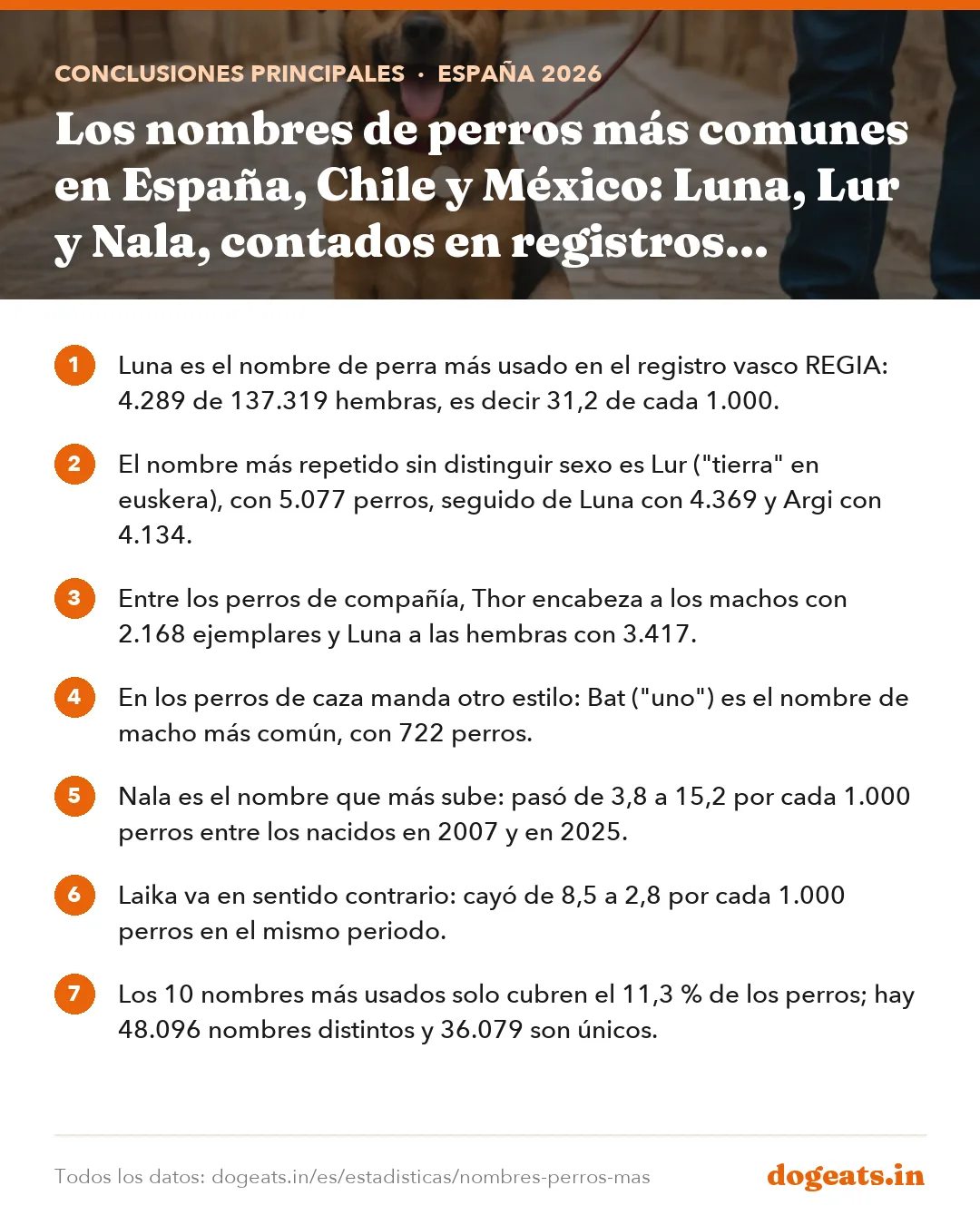 Conclusiones principales: Los nombres de perros más comunes en España, Chile y México: Luna, Lur y Nala, contados en registros oficiales
