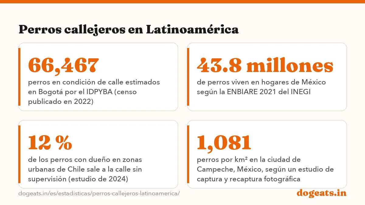 Perros callejeros en Latinoamérica: las cifras