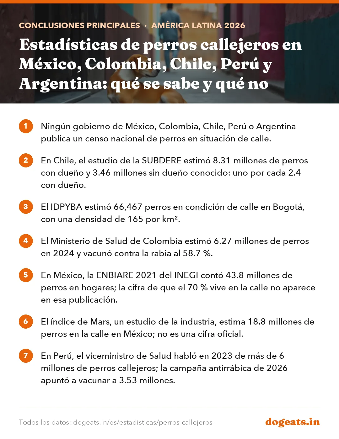 Conclusiones principales: Estadísticas de perros callejeros en México, Colombia, Chile, Perú y Argentina: qué se sabe y qué no
