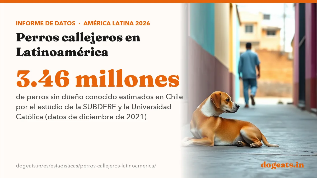3.46 millones de perros sin dueño conocido estimados en Chile por el estudio de la SUBDERE y la Universidad Católica (datos de diciembre de 2021)