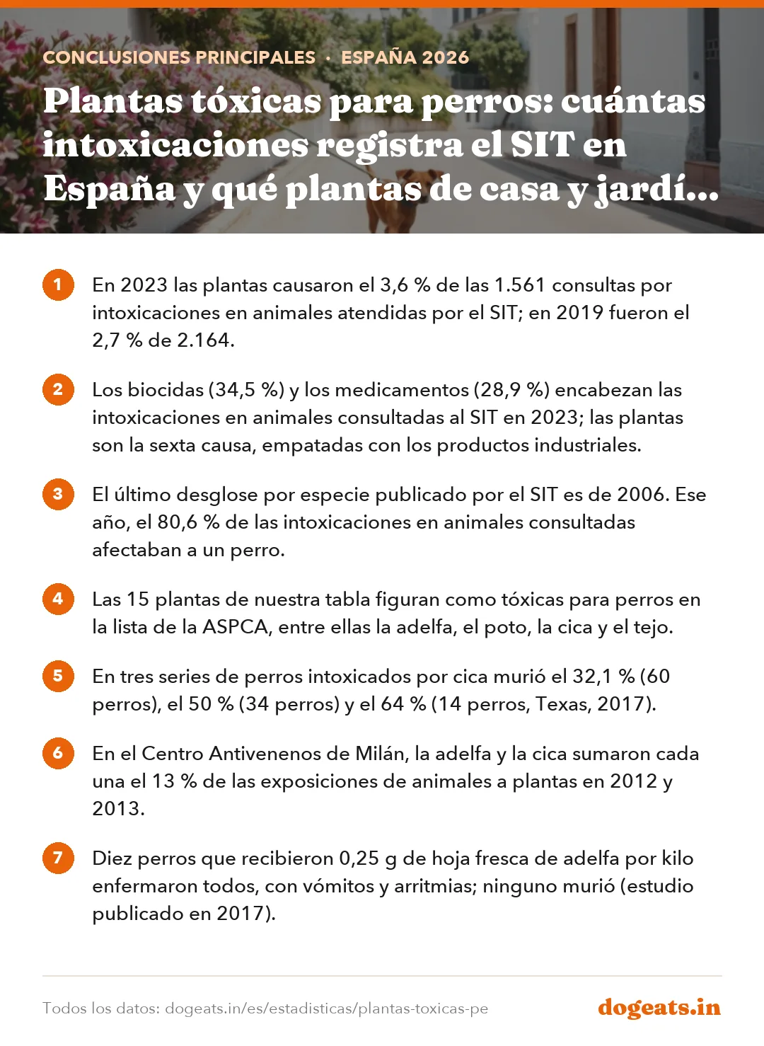 Conclusiones principales: Plantas tóxicas para perros: cuántas intoxicaciones registra el SIT en España y qué plantas de casa y jardín son más peligrosas