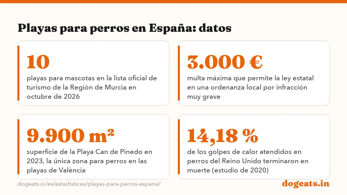Playas para perros en España: datos: 18 de 3.554 fichas de la guía de playas del Ministerio (versión de 2020) que dicen