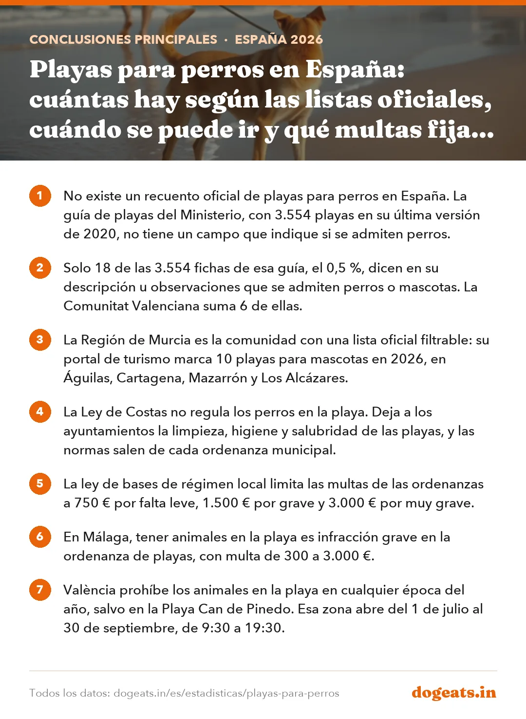 Conclusiones principales: Playas para perros en España: cuántas hay según las listas oficiales, cuándo se puede ir y qué multas fijan las ordenanzas