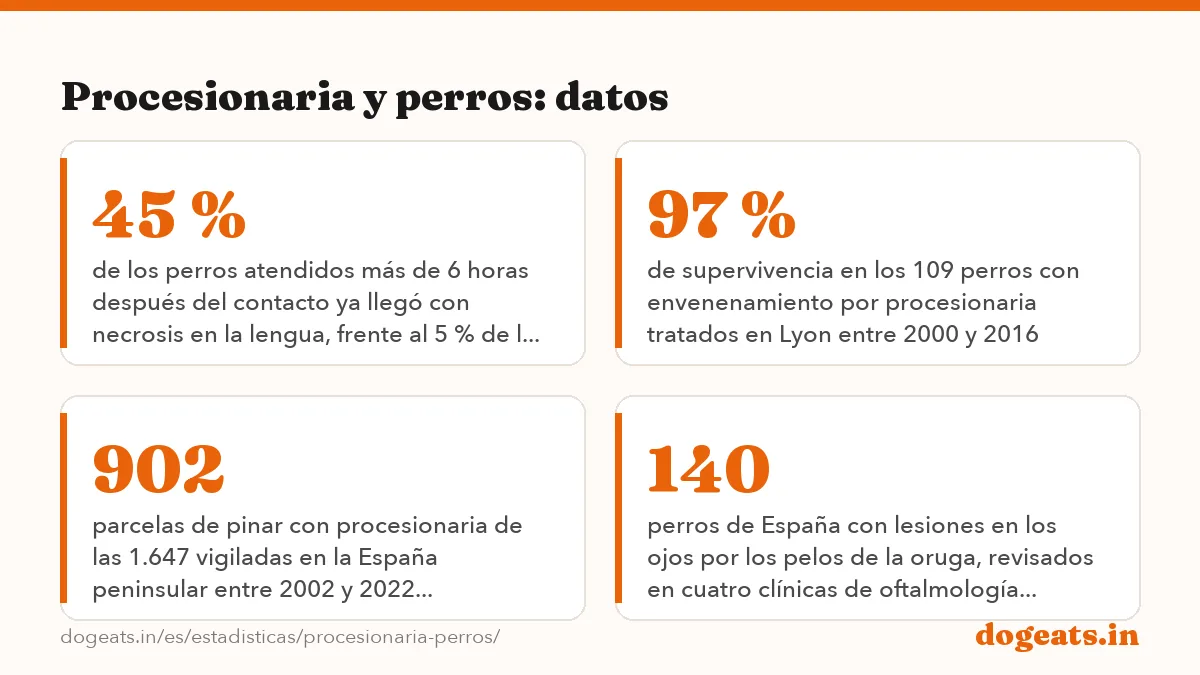 Procesionaria y perros: datos: 86 % de los 109 perros del mayor estudio publicado tuvo lesiones en la lengua tras el contacto