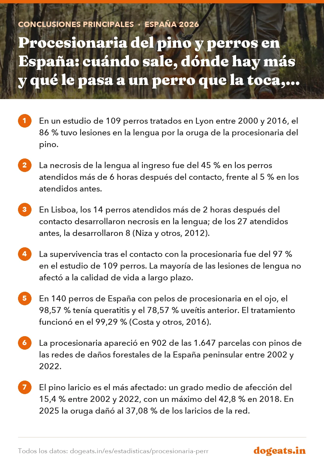 Conclusiones principales: Procesionaria del pino y perros en España: cuándo sale, dónde hay más y qué le pasa a un perro que la toca, según los estudios veterinarios