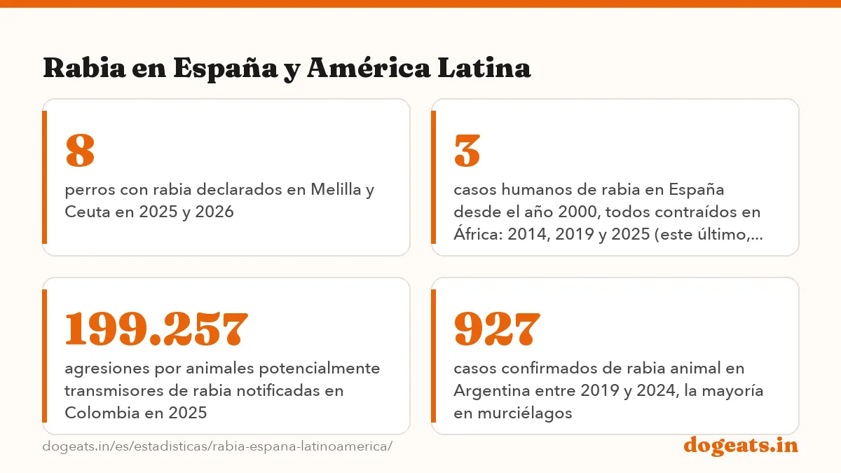 Rabia en España y América Latina: las cifras