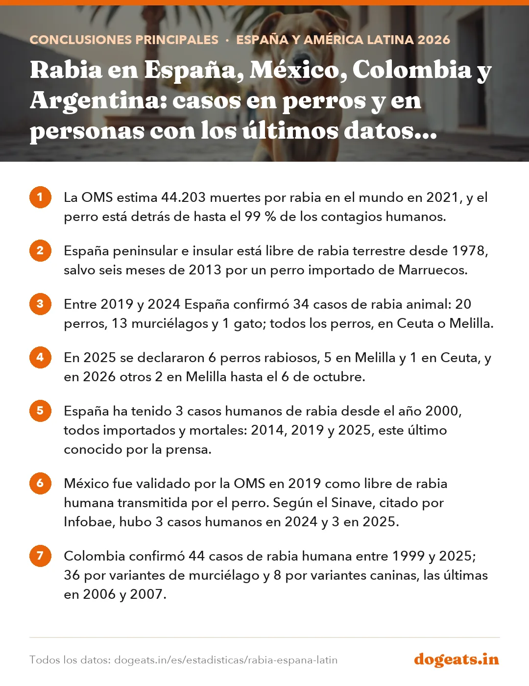 Conclusiones principales: Rabia en España, México, Colombia y Argentina: casos en perros y en personas con los últimos datos oficiales