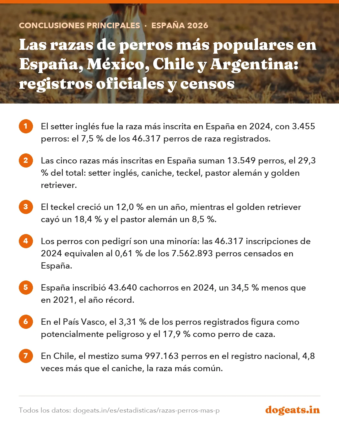 Conclusiones principales: Las razas de perros más populares en España, México, Chile y Argentina: registros oficiales y censos