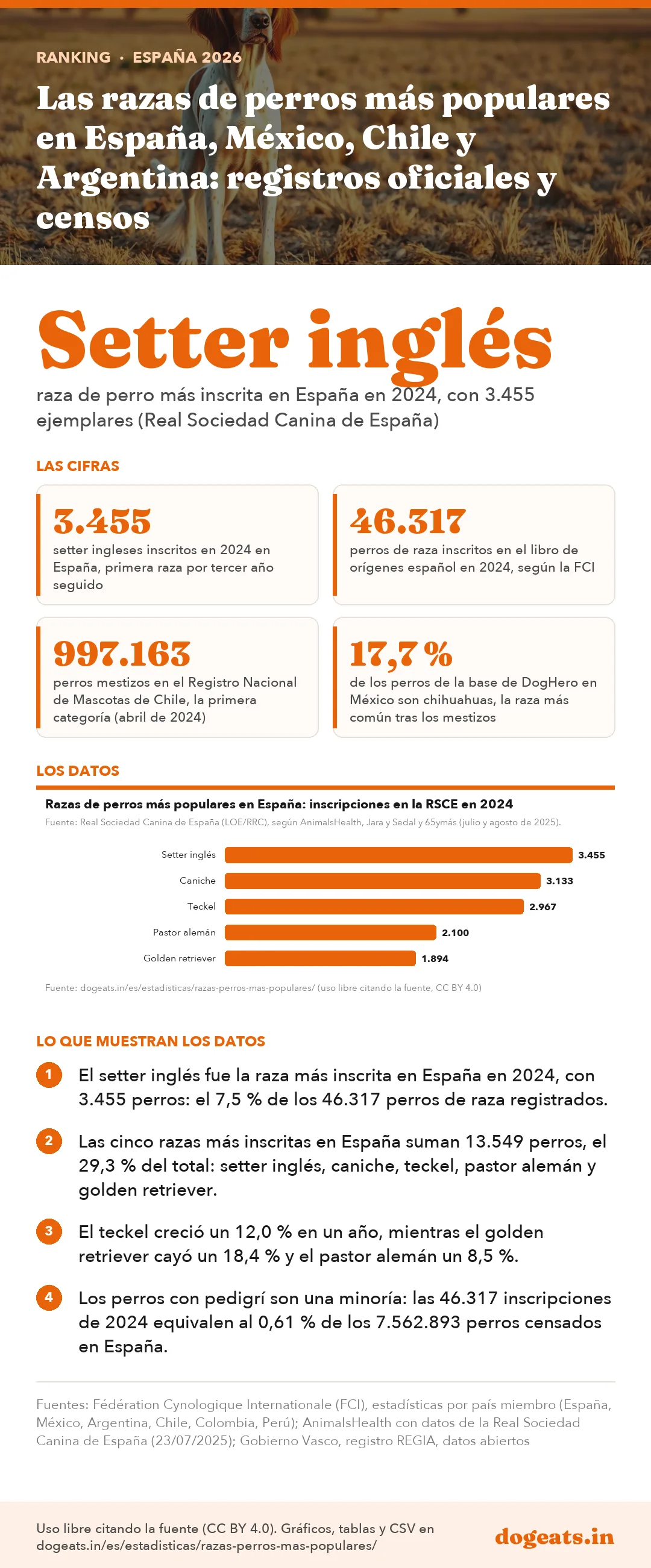 Infograf&iacute;a: Las razas de perros más populares en España, México, Chile y Argentina: registros oficiales y censos