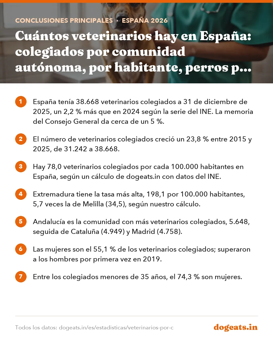 Conclusiones principales: Cuántos veterinarios hay en España: colegiados por comunidad autónoma, por habitante, perros por veterinario y mujeres en la profesión