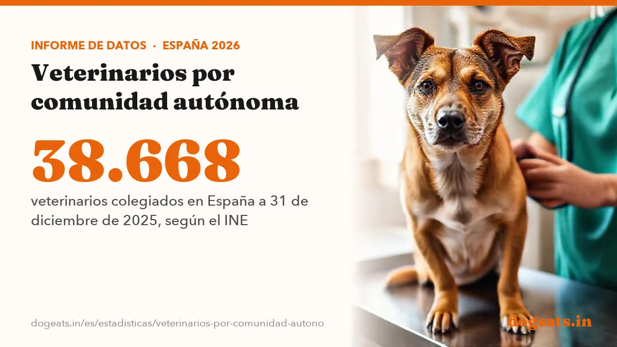 38.668 veterinarios colegiados en España a 31 de diciembre de 2025, según el INE