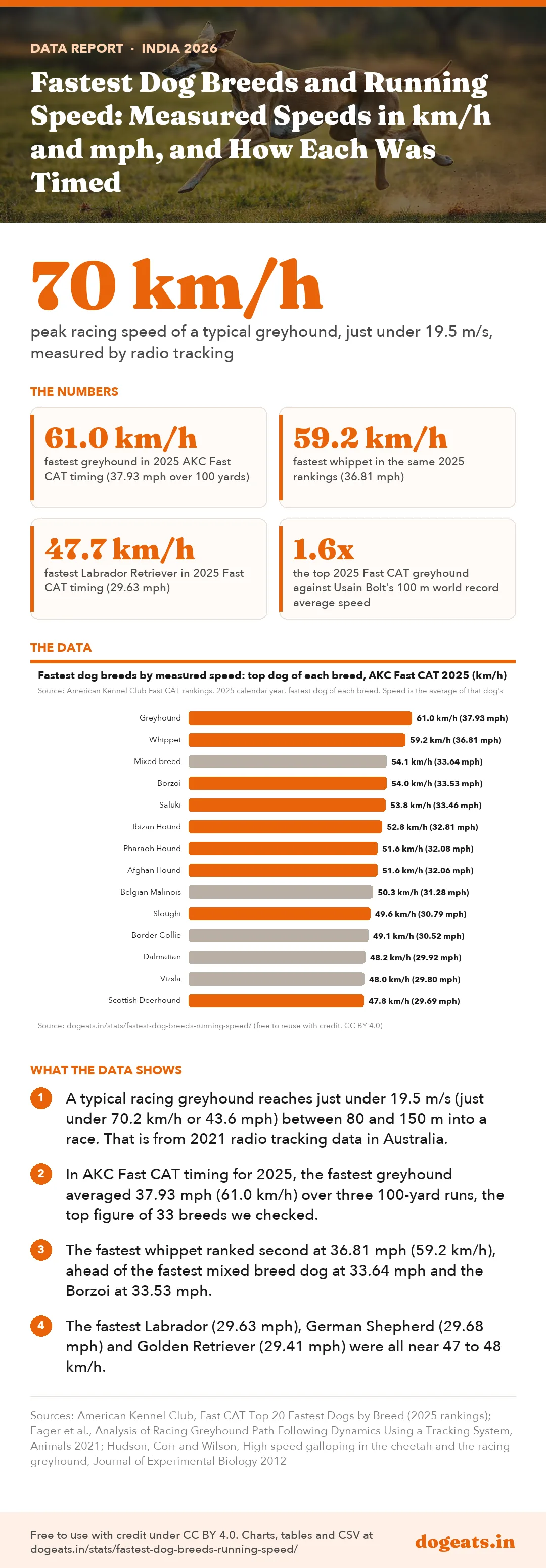 Infographic: Fastest Dog Breeds and Running Speed: Measured Speeds in km/h and mph, and How Each Was Timed