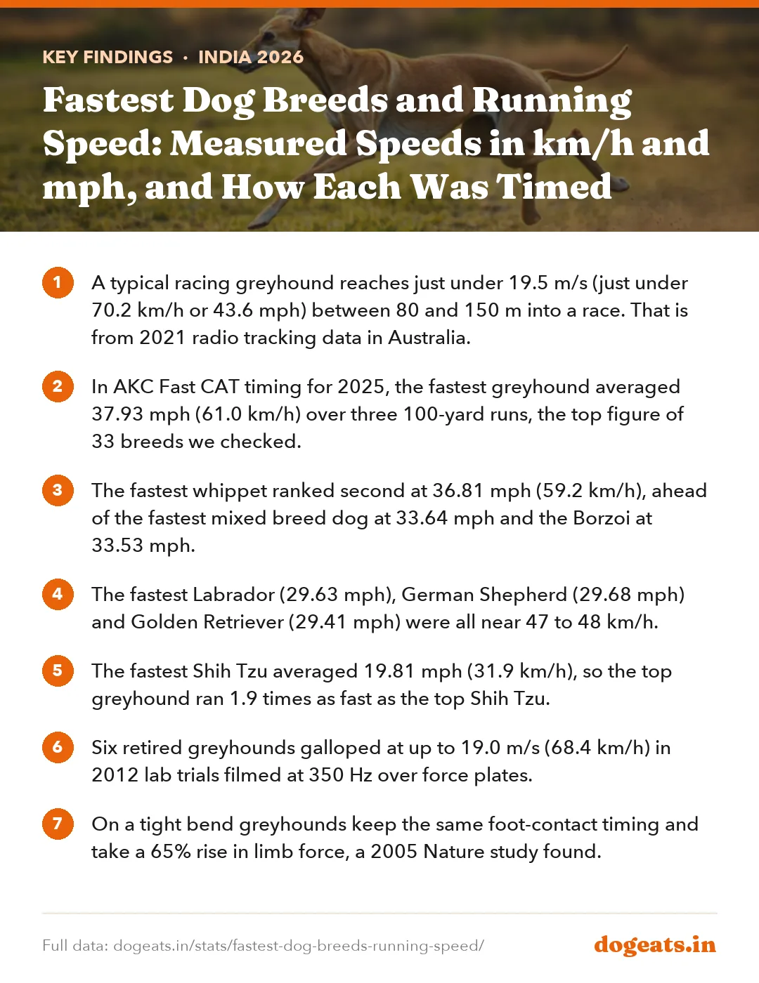 Key findings: Fastest Dog Breeds and Running Speed: Measured Speeds in km/h and mph, and How Each Was Timed