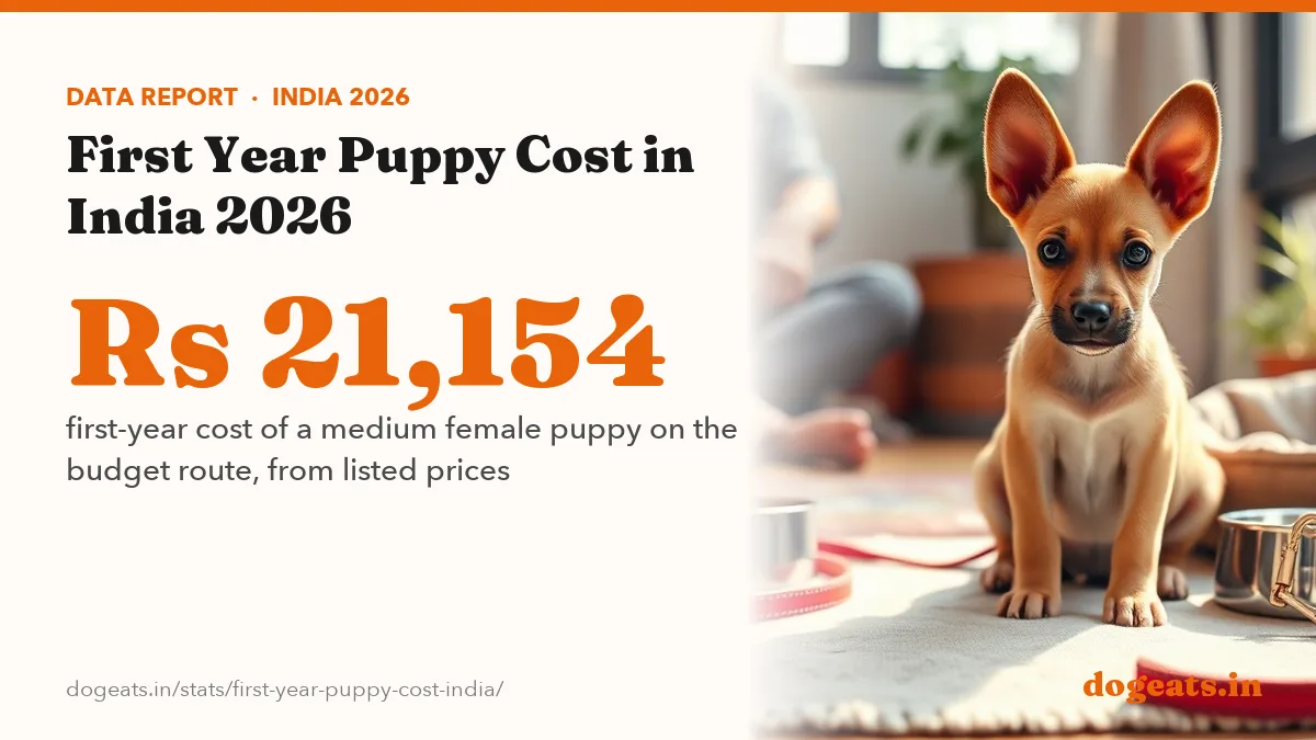 Rs 21,154 first-year cost of a medium female puppy on the budget route, from listed prices
