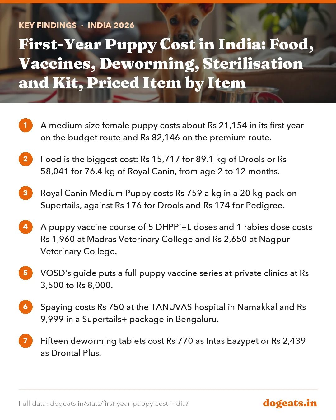 Key findings: First-Year Puppy Cost in India: Food, Vaccines, Deworming, Sterilisation and Kit, Priced Item by Item