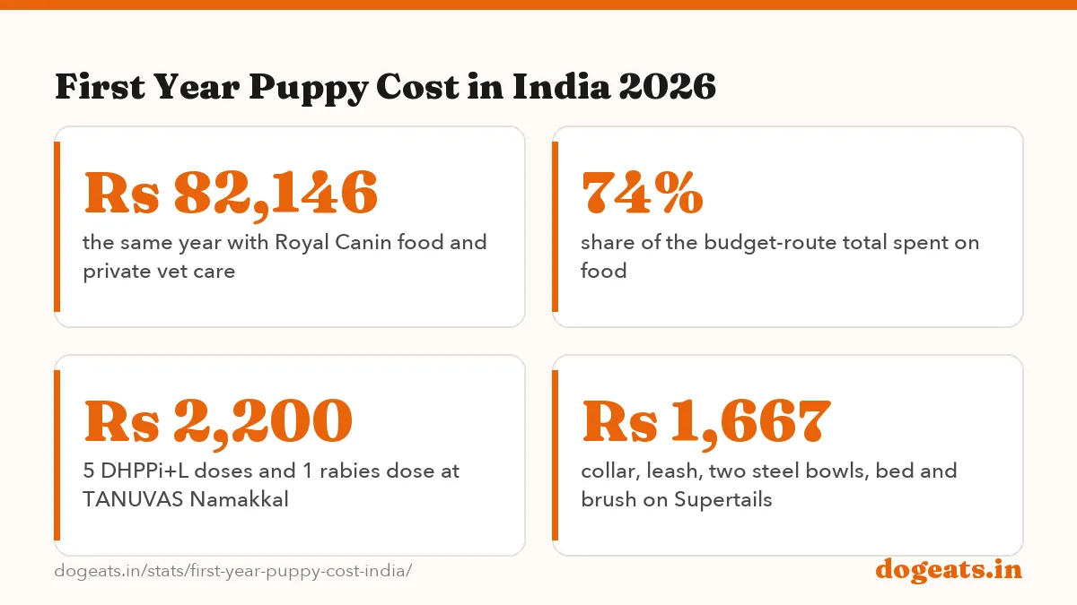 First Year Puppy Cost in India 2026: Rs 21,154 first-year cost of a medium female puppy on the budget route, from listed
