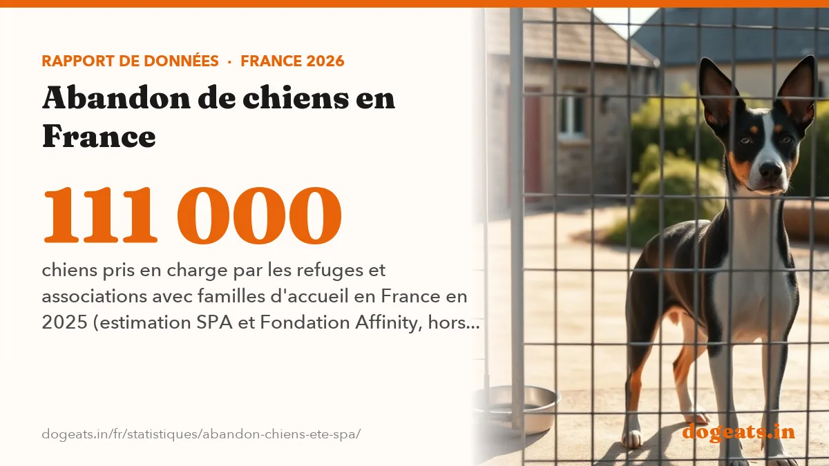 111 000 chiens pris en charge par les refuges et associations avec familles d'accueil en France en 2025 (estimation SPA et Fondation Affinity, hors fourrières)