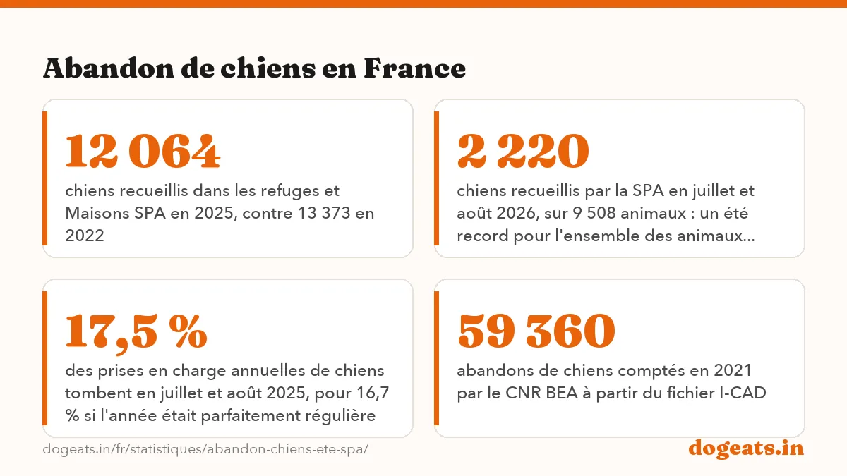 Abandon de chiens en France: 111 000 chiens pris en charge par les refuges et associations avec familles d'accueil en France en