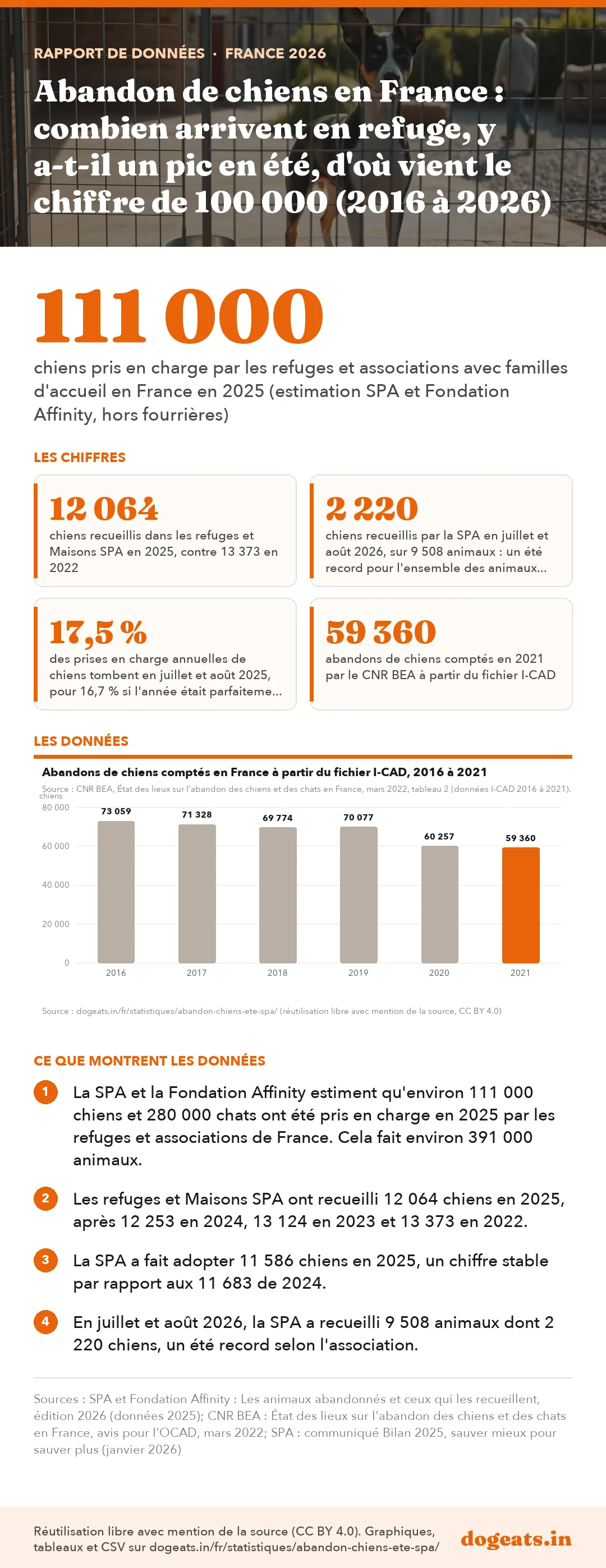 Infographie : Abandon de chiens en France : combien arrivent en refuge, y a-t-il un pic en été, d'où vient le chiffre de 100 000 (2016 à 2026)