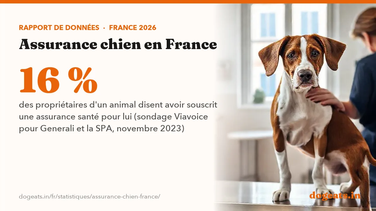 16 % des propriétaires d'un animal disent avoir souscrit une assurance santé pour lui (sondage Viavoice pour Generali et la SPA, novembre 2023)