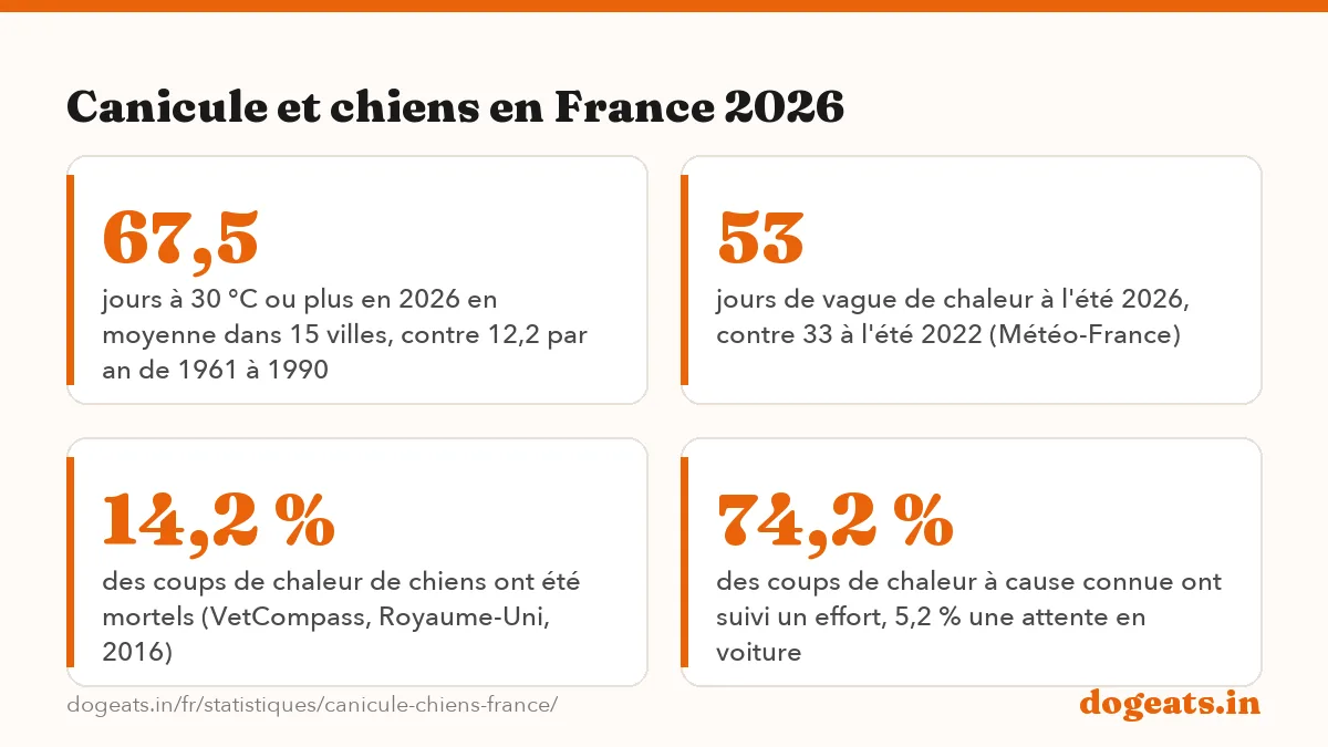 Canicule et chiens en France 2026: 54 vagues de chaleur en France depuis 1947, dont 29 depuis 2011 (Météo-France)