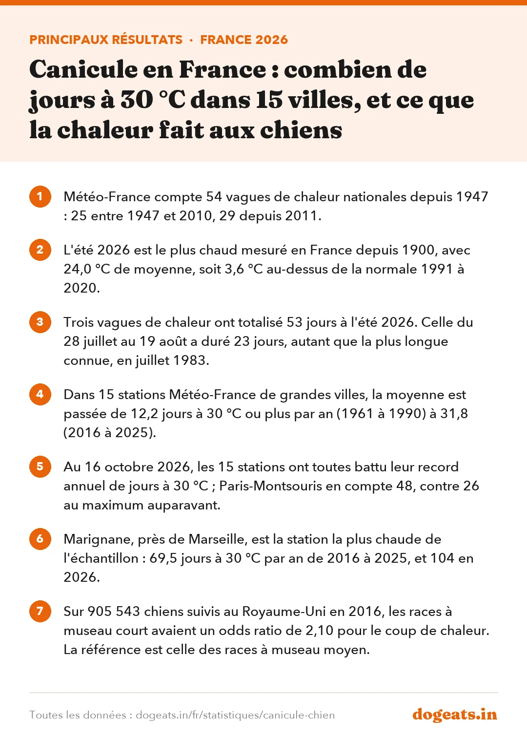 Principaux résultats : Canicule en France : combien de jours à 30 °C dans 15 villes, et ce que la chaleur fait aux chiens