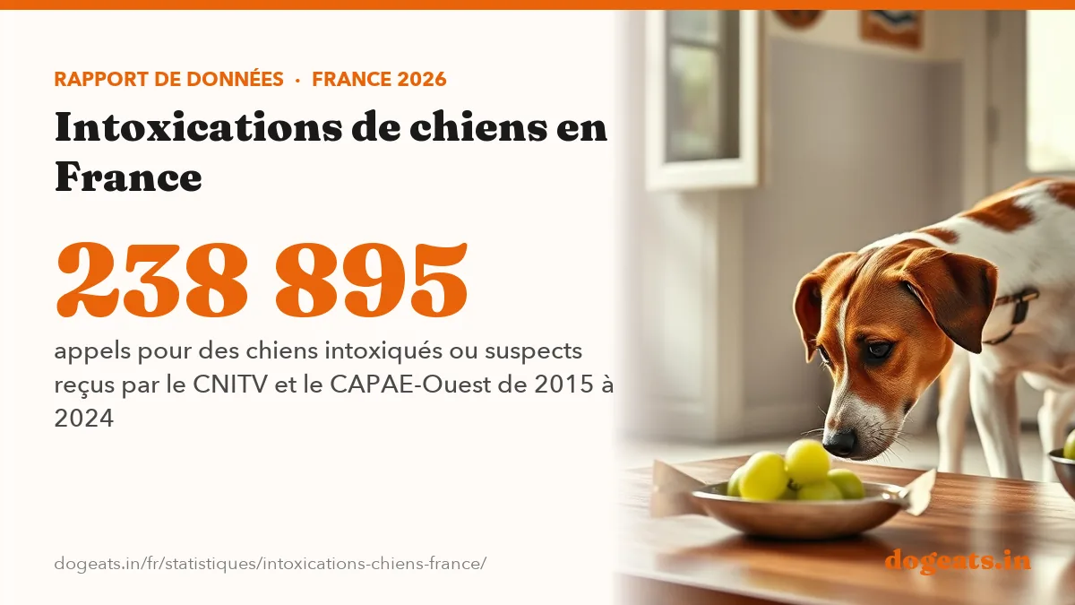 238 895 appels pour des chiens intoxiqués ou suspects reçus par le CNITV et le CAPAE-Ouest de 2015 à 2024