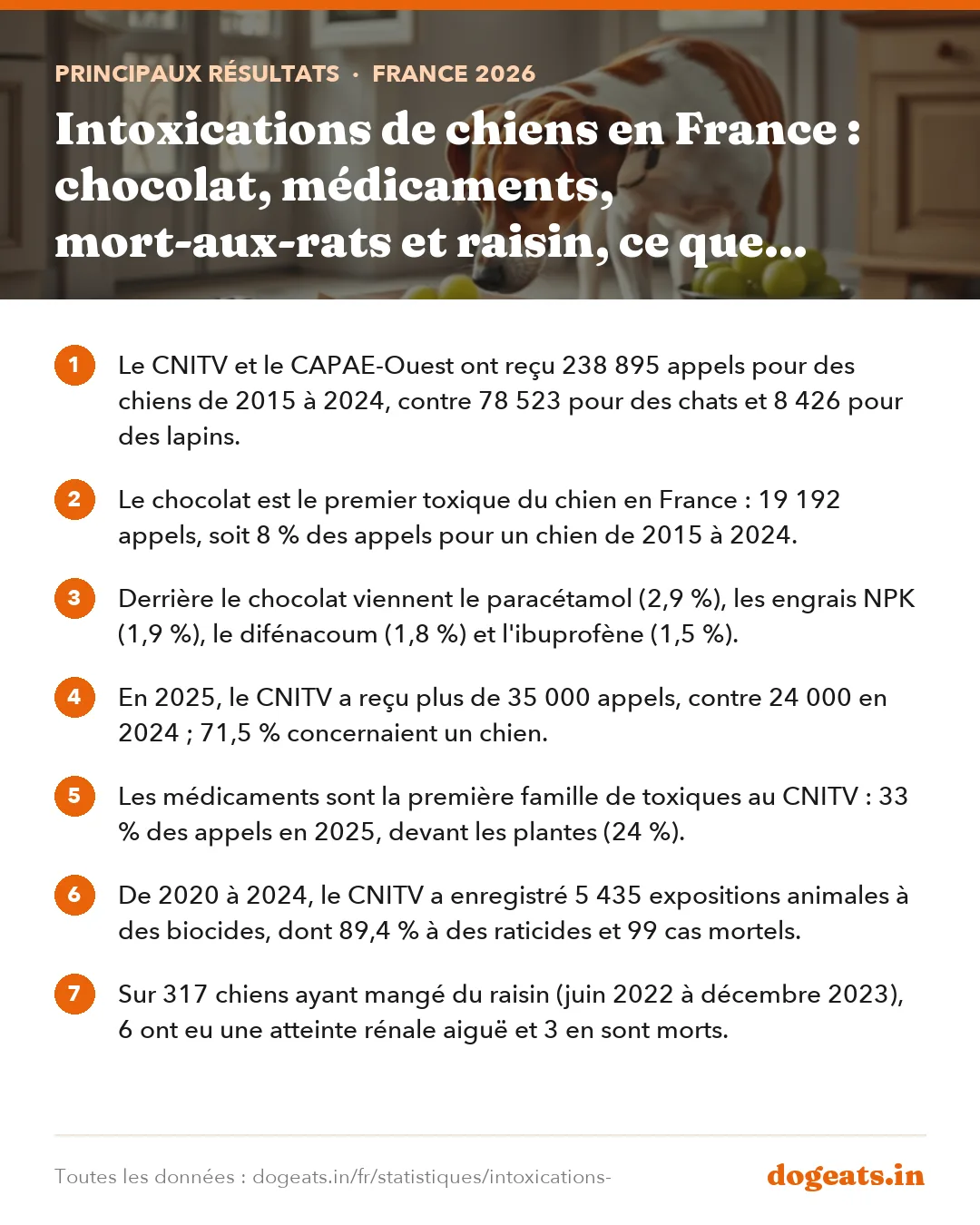 Principaux résultats : Intoxications de chiens en France : chocolat, médicaments, mort-aux-rats et raisin, ce que montrent les centres antipoison vétérinaires