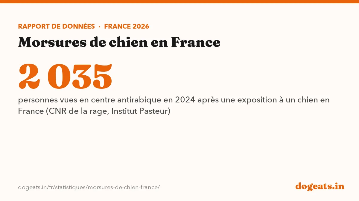 2 035 personnes vues en centre antirabique en 2024 après une exposition à un chien en France (CNR de la rage, Institut Pasteur)