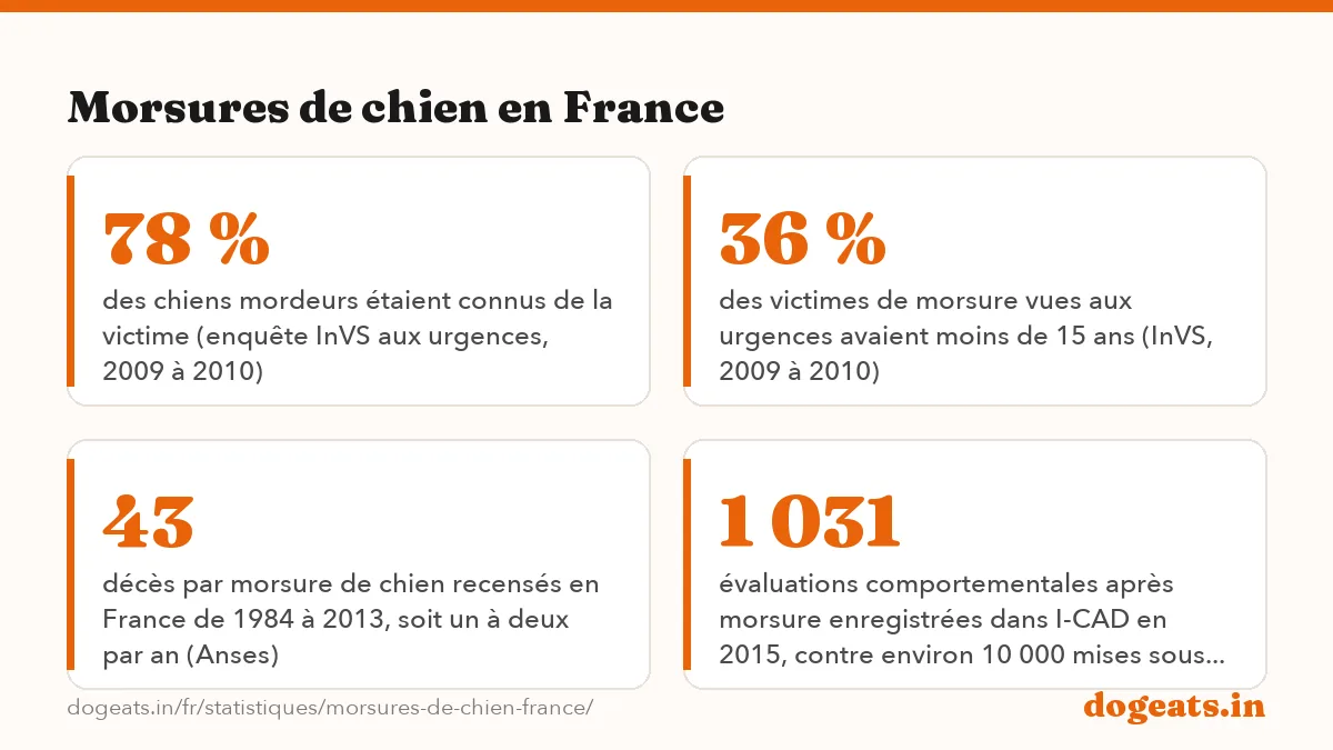 Morsures de chien en France: 2 035 personnes vues en centre antirabique en 2024 après une exposition à un chien en France