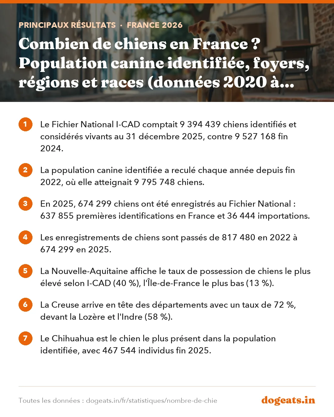Principaux résultats : Combien de chiens en France ? Population canine identifiée, foyers, régions et races (données 2020 à 2025)
