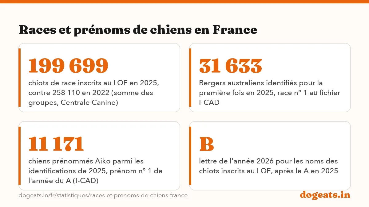 Races et prénoms de chiens en France: 15 062 chiots Golden retriever inscrits au LOF en 2025, race la plus inscrite au
