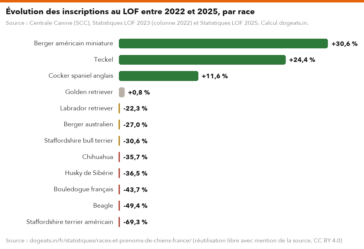 Évolution des inscriptions au LOF entre 2022 et 2025, par race