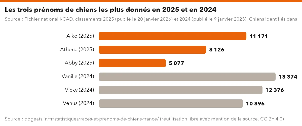 Les trois prénoms de chiens les plus donnés en 2025 et en 2024