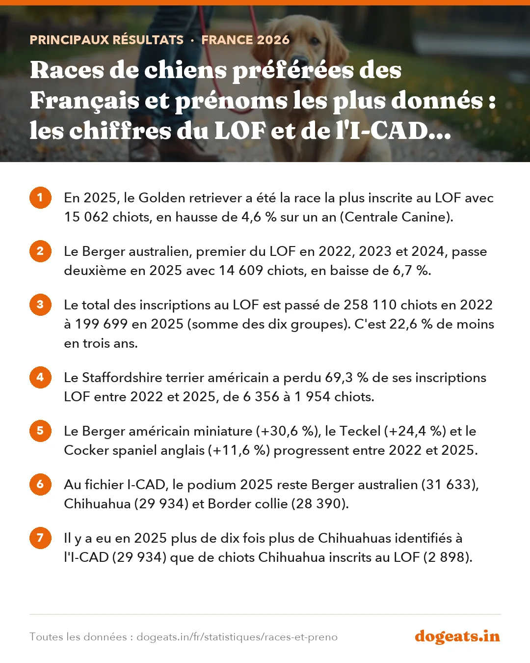 Principaux résultats : Races de chiens préférées des Français et prénoms les plus donnés : les chiffres du LOF et de l'I-CAD (2022 à 2025)