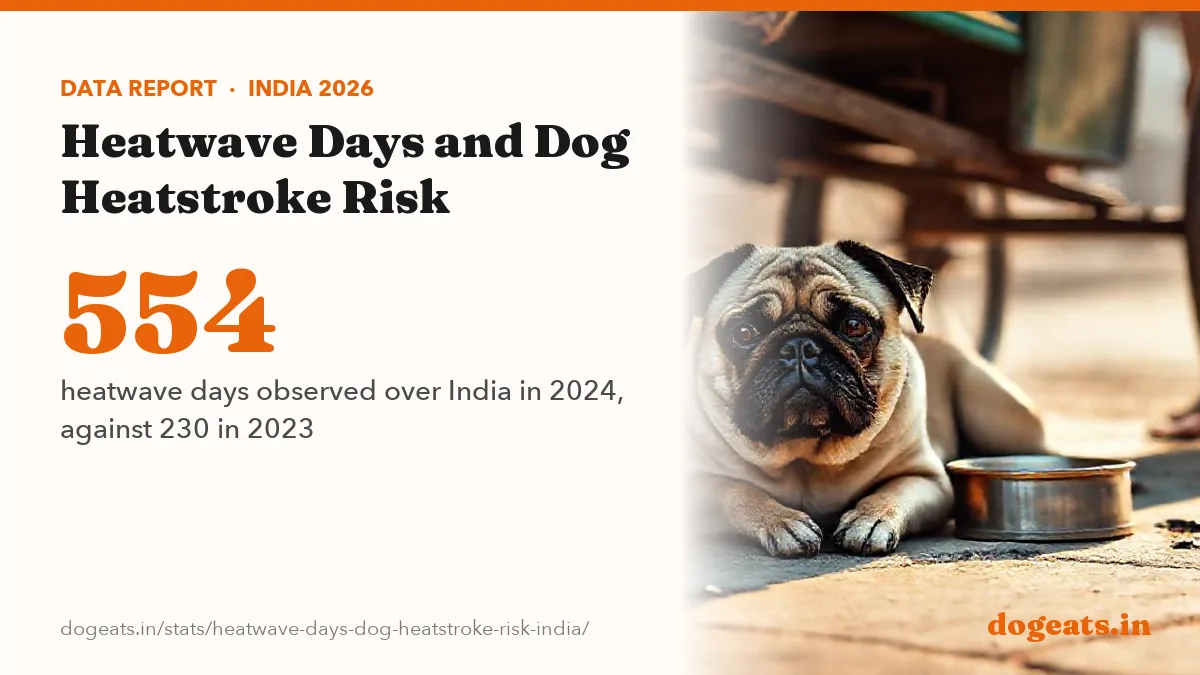 554 heatwave days observed over India in 2024, against 230 in 2023