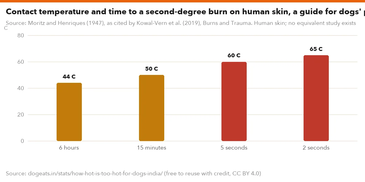 Contact temperature and time to a second-degree burn on human skin, a guide for dogs' paws