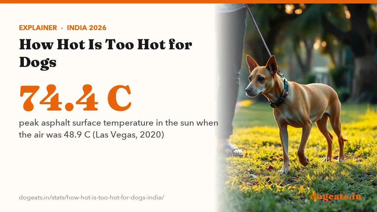 74.4 C peak asphalt surface temperature in the sun when the air was 48.9 C (Las Vegas, 2020)