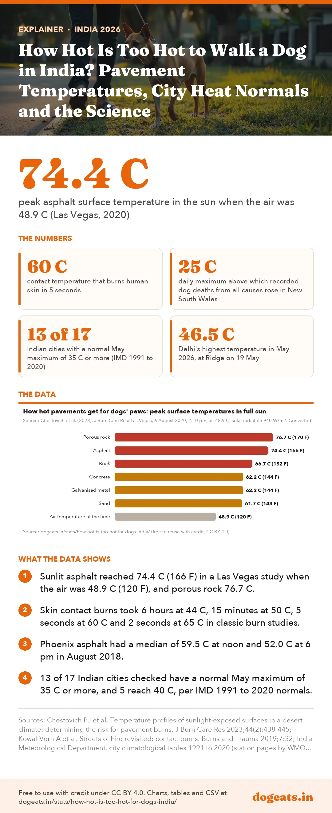 Infographic: How Hot Is Too Hot to Walk a Dog in India? Pavement Temperatures, City Heat Normals and the Science