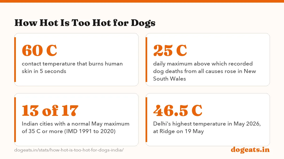 How Hot Is Too Hot for Dogs: 74.4 C peak asphalt surface temperature in the sun when the air was 48.9 C