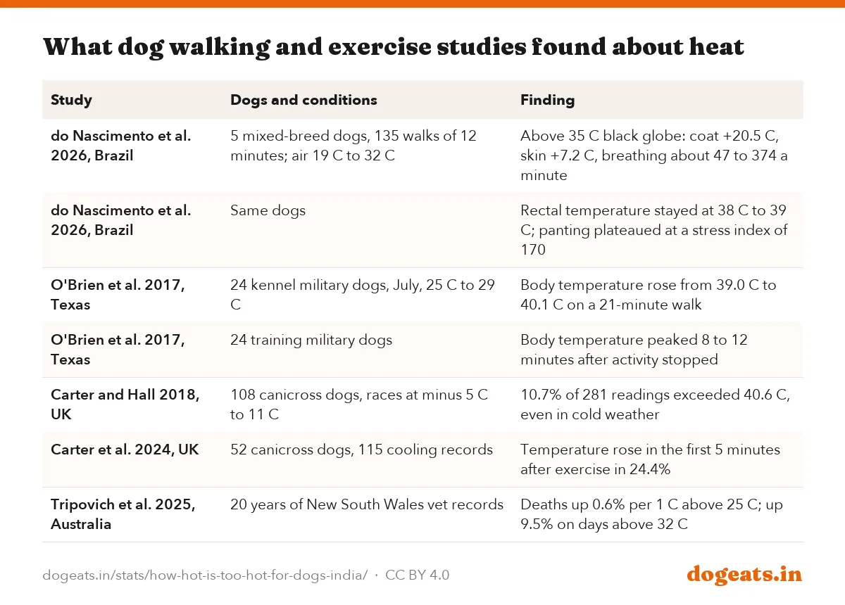 What dog walking and exercise studies found about heat
