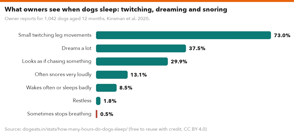 What owners see when dogs sleep: twitching, dreaming and snoring