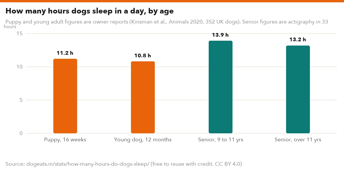How many hours dogs sleep in a day, by age