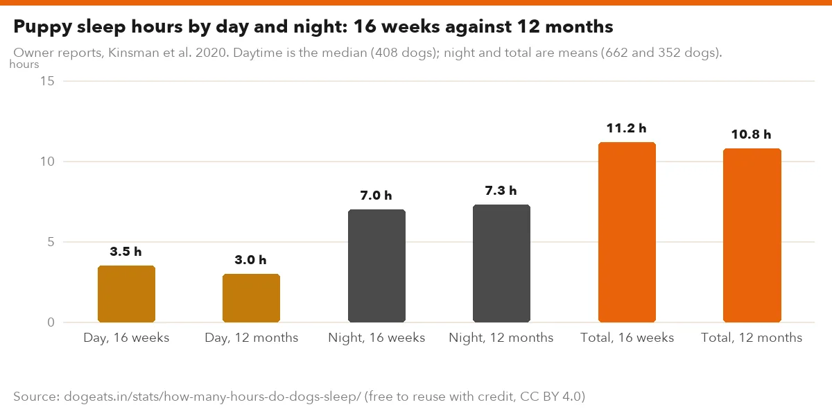 Puppy sleep hours by day and night: 16 weeks against 12 months